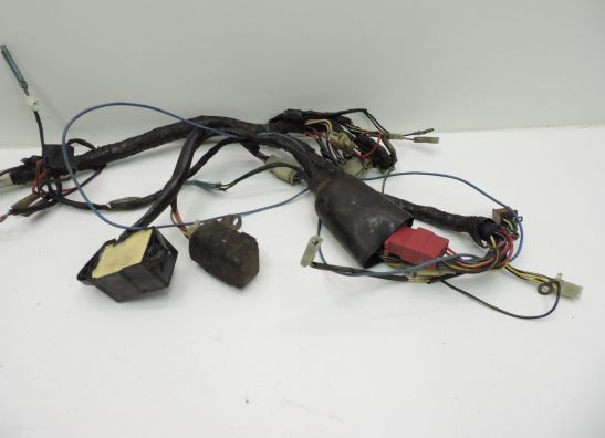 Wire Harness Kawasaki GPZ 900
