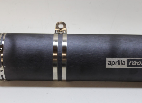 Auspuff Aprilia RSV 1000