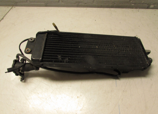 Kuhler Suzuki VX 800