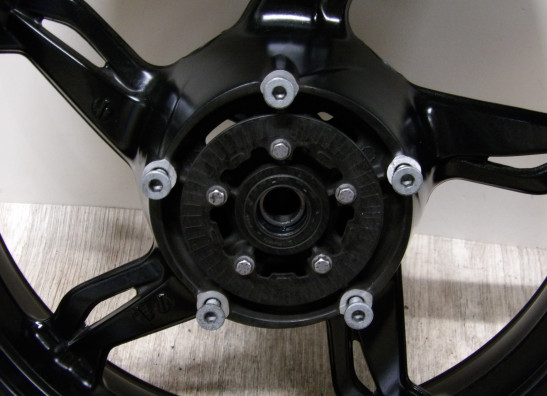 Achtervelg BMW G 310 R