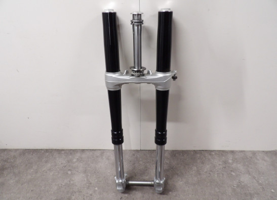 Voorpoten compleet BMW F 850 GS