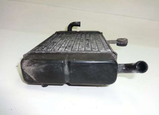 Radiator Honda TRANSALP