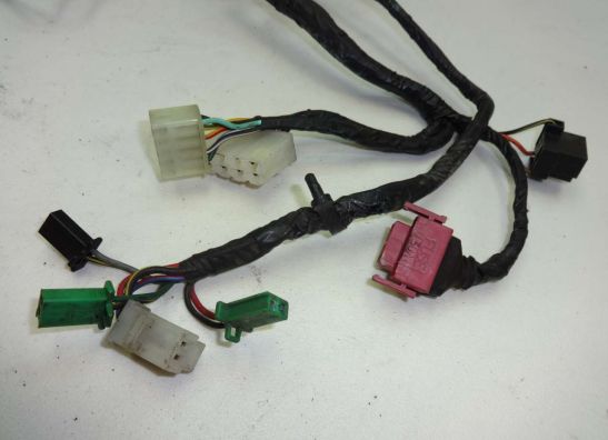Wire Harness Kawasaki GPX 600