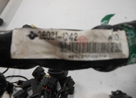 Kabelbaum Kawasaki Z 750