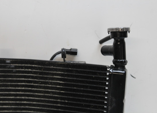 Radiateur Triumph Daytona 675 