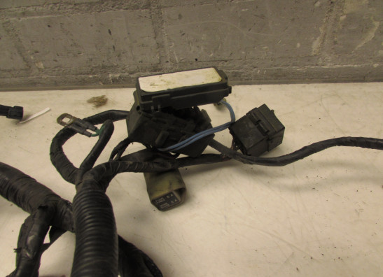 Kabelboom Honda ST 1100 Pan European