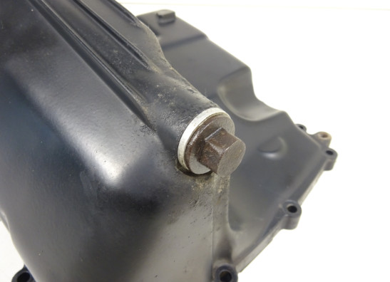 Carterpan Triumph Street Triple 675