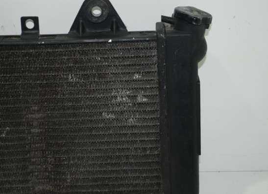Radiateur Triumph 900 Daytona