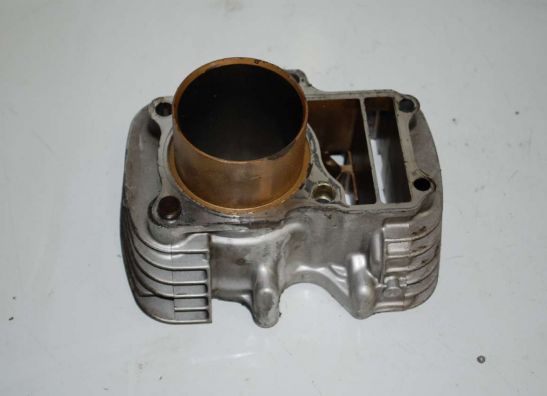 Zylinder Honda VT 700 750