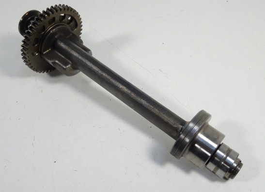 Engine parts Triumph Speed Triple 1050