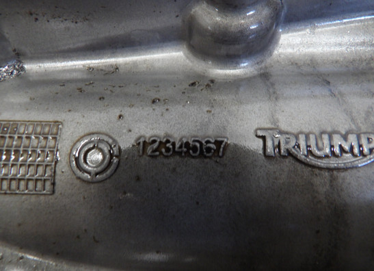 Olwanne Triumph Sprint ST 1050