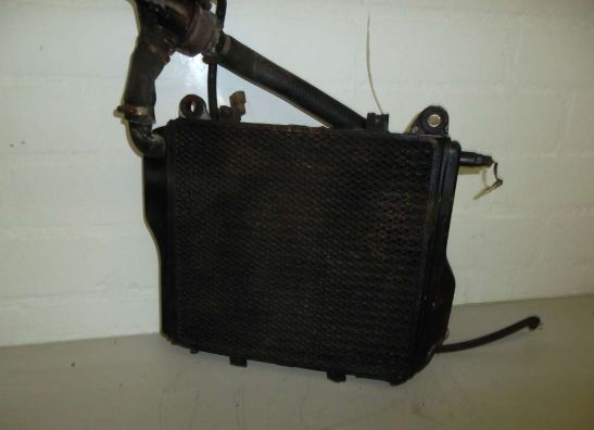 Radiator Kawasaki GPZ 1000