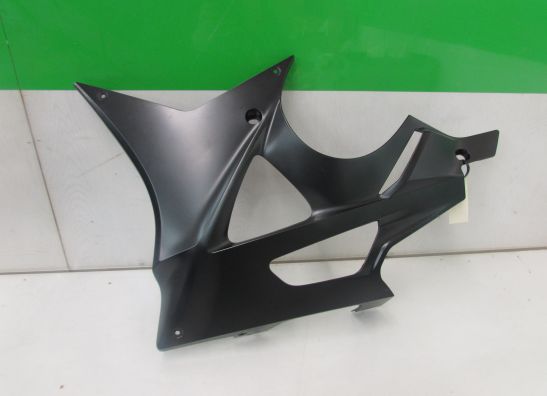 Untere verkleidung links BMW S 1000 RR