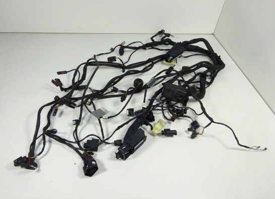 Wire Harness BMW F 800 S - ST