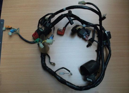 Wire Harness Honda CBR 600 F
