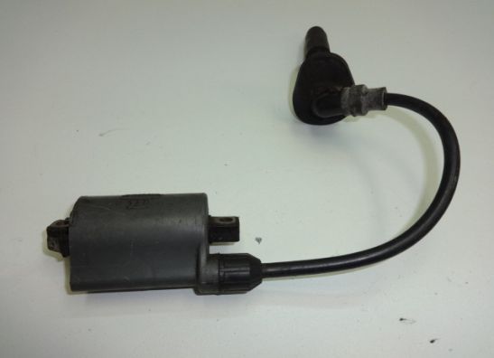 Bobine Kawasaki ZZR 250