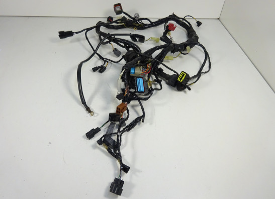 Kabelboom Kawasaki Z 750 2004-2006