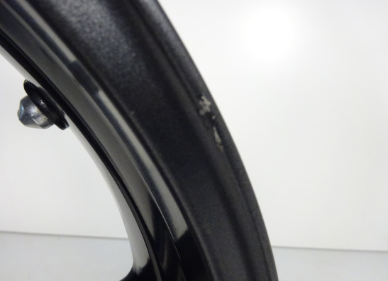 Achtervelg Triumph Street Triple 675