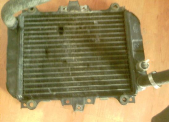 Radiator Kawasaki GPZ 500