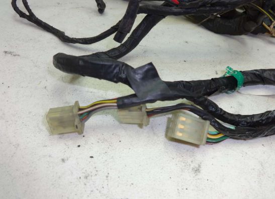 Wire Harness Kawasaki ZZR 1100