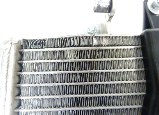 Radiateur BMW F 800 R