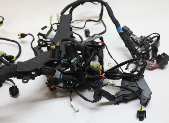 Kabelboom Aprilia RS 660