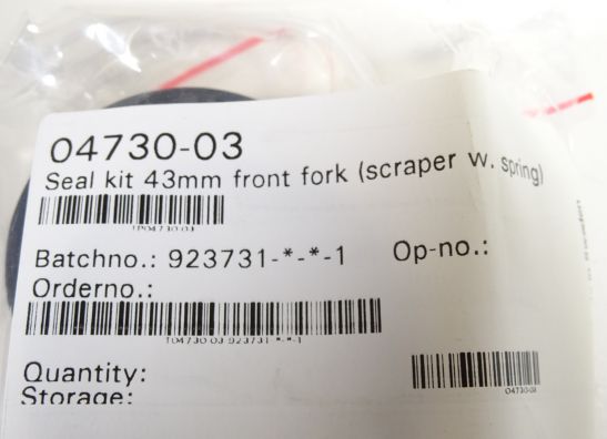 Front pipes Ducati 1299 Panigale