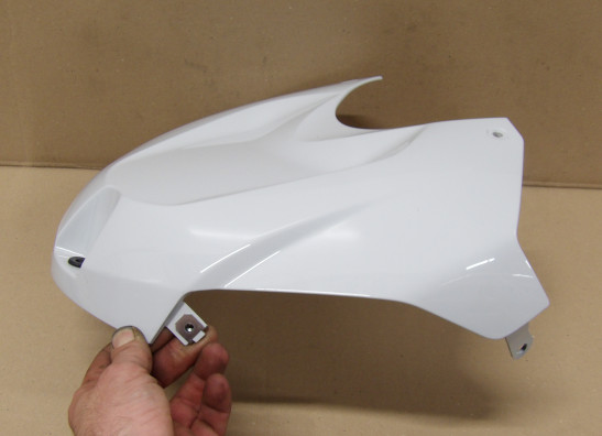 Tankcover BMW S 1000 R