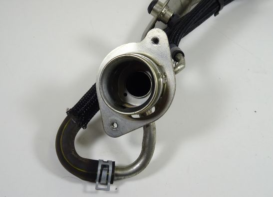 Tankring Suzuki Burgman 650