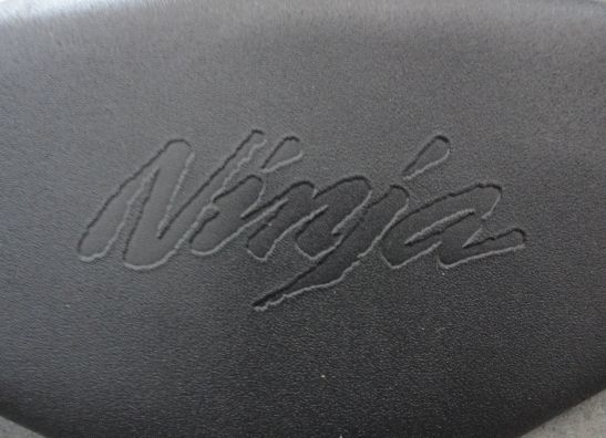 Buddy zadel Kawasaki ZX 6 R