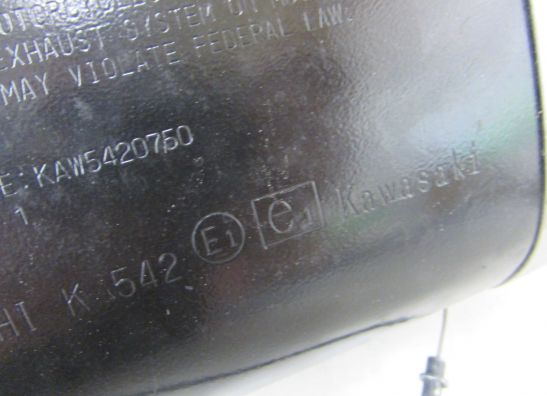 Auspuff Kawasaki Z 750