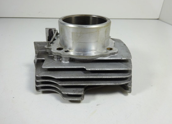 Cylinders Ducati monster 600