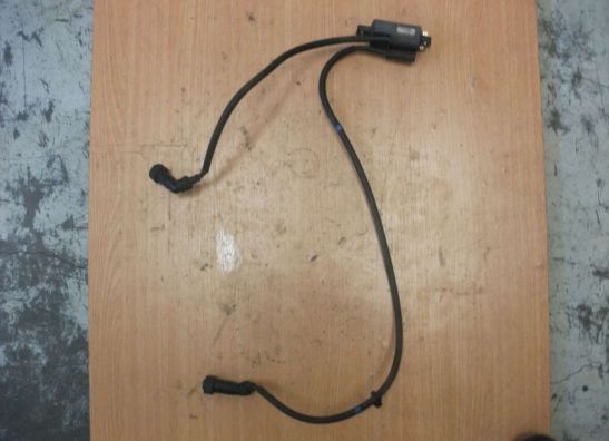 Bobine Yamaha XJ 900 S Diversion