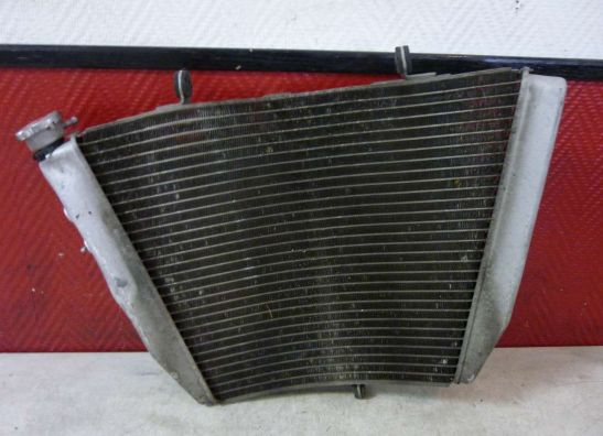 Radiator Suzuki GSX R 600