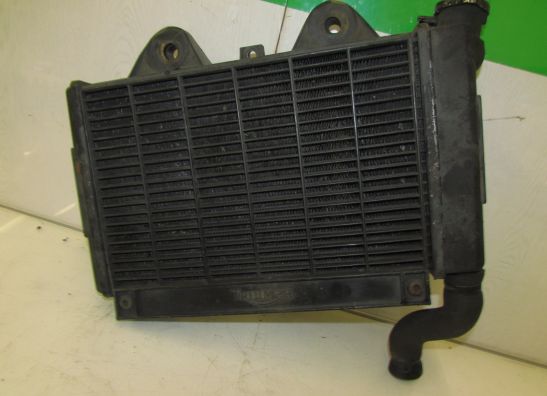 Radiateur Triumph Tiger 900 1993-1998
