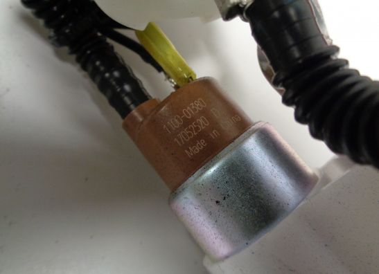 Brandstofpomp Vespa Gts 300