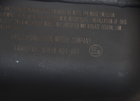 Downpipes Harley Davidson Pan America