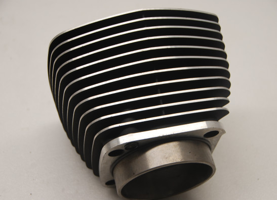 Cilinderblok Harley Davidson Softtail