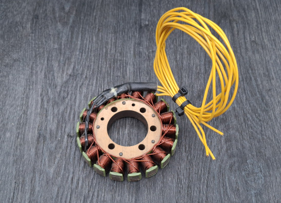 Dynamo Kawasaki LTD 454