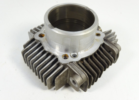 Cilinderblok Ducati monster 600