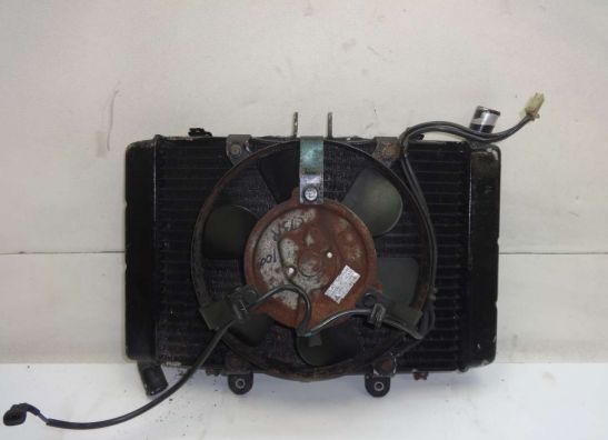 Radiateur Honda CBR 1000 F