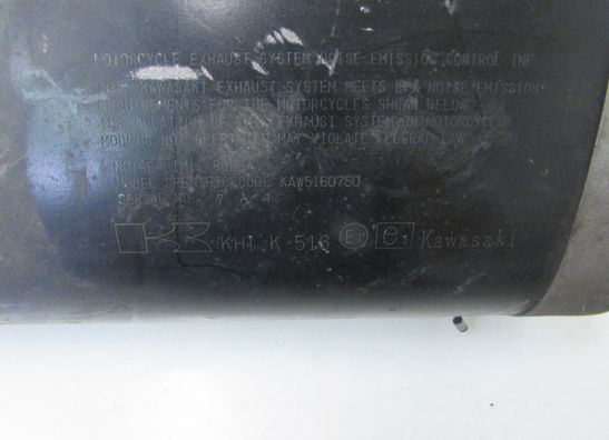 Auspuff Kawasaki Z 750