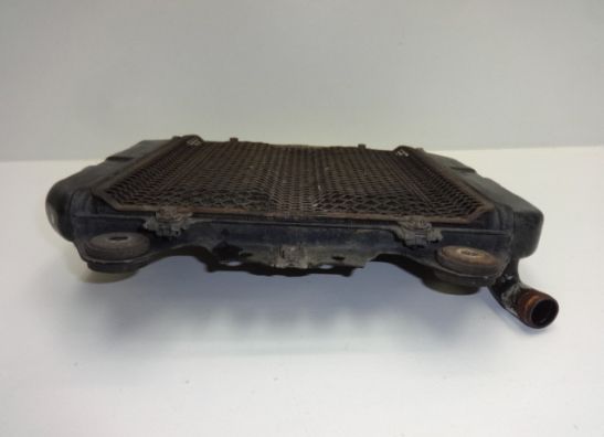 Radiateur Kawasaki ZZR 250