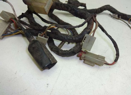 Kabelboom Kawasaki GTR 1000