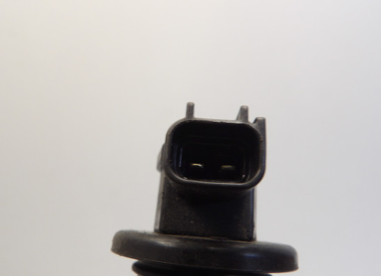 Bobine Triumph Sprint ST 1050