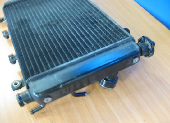 Radiateur Triumph TT 600