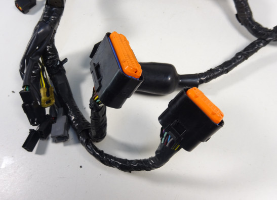 Wire Harness Kawasaki ER 6