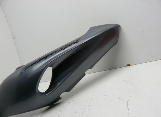 Heck links Yamaha YZF 1000 Thunderace