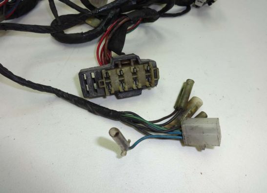 Wire Harness Yamaha FZ 750