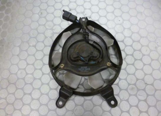 Ventilator Triumph Tiger 955i 1999-2005